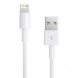 Apple Lightning to VGA Adapter